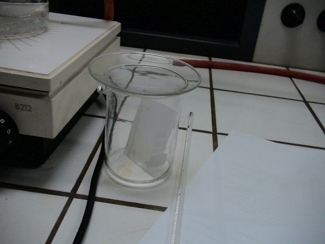 DSC08346.JPG