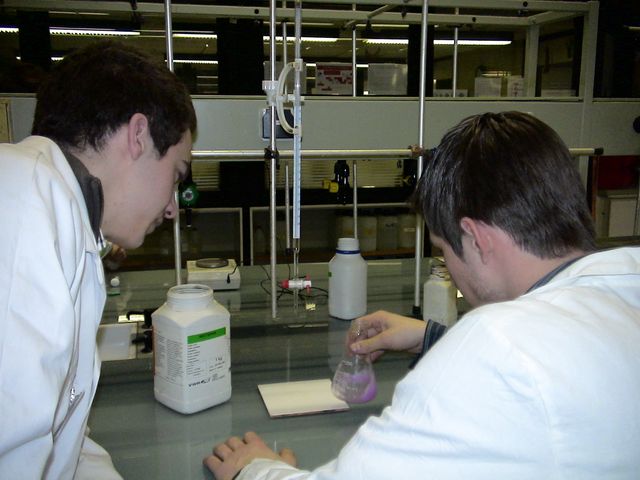DSC08359.JPG