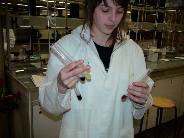 DSC08360.JPG