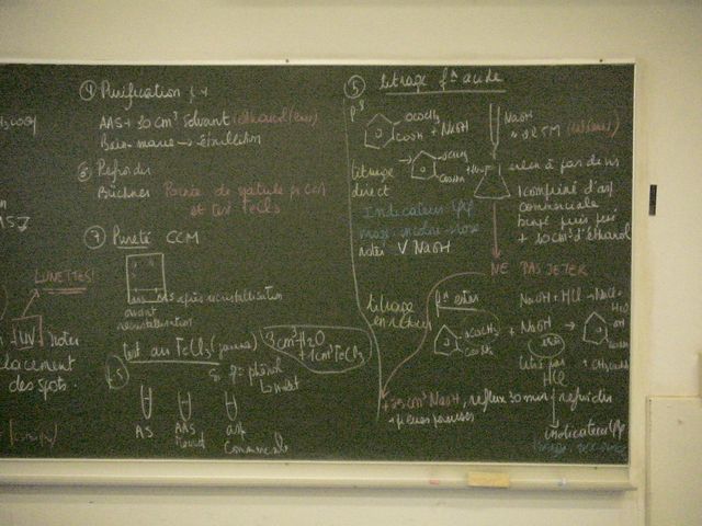 DSC08367.JPG