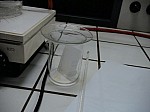 DSC08346.JPG