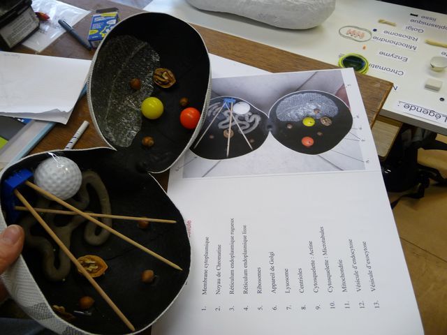 P1040134.JPG