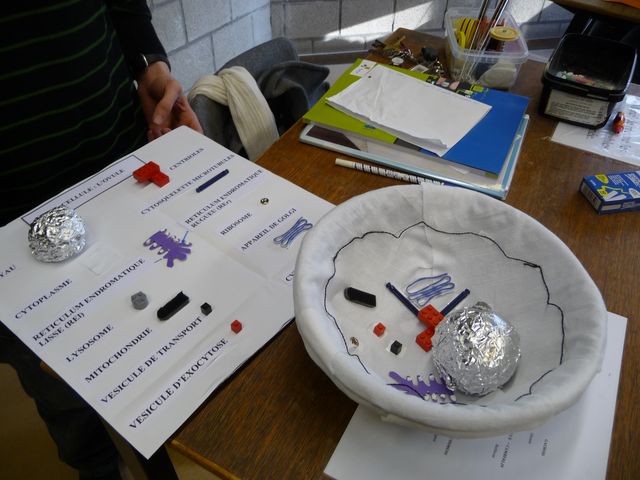 P1040136.JPG
