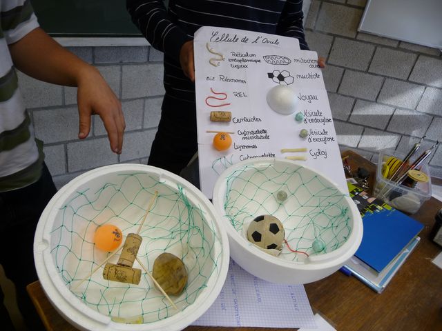 P1040142.JPG