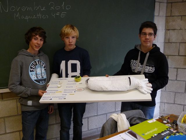 P1040146.JPG