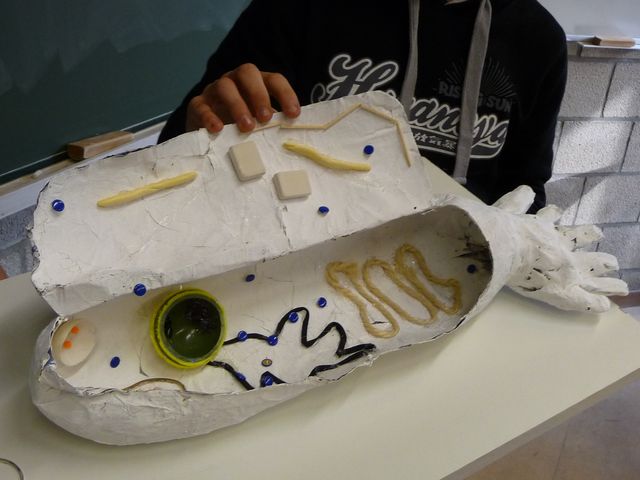 P1040147.JPG