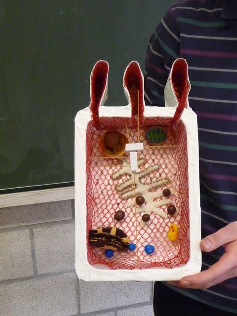 P1040148.JPG