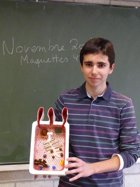 P1040149.JPG