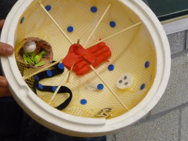 P1040154.JPG