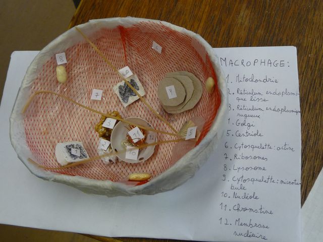 P1040156.JPG