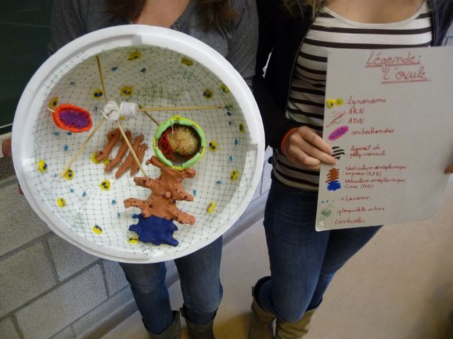 P1040158.JPG