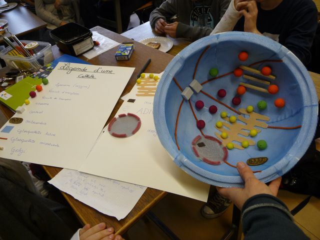 P1040160.JPG