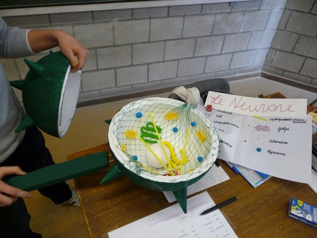 P1040164.JPG