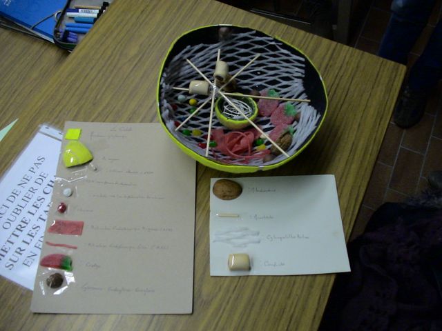 DSC09685.JPG