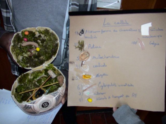 DSC09689.JPG