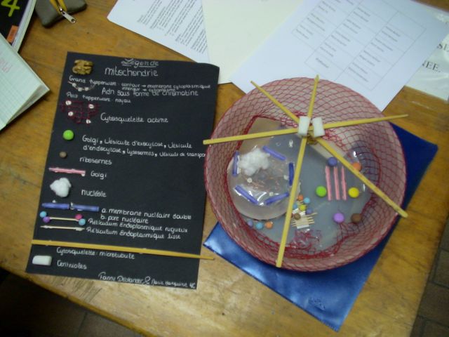 DSC09695.JPG