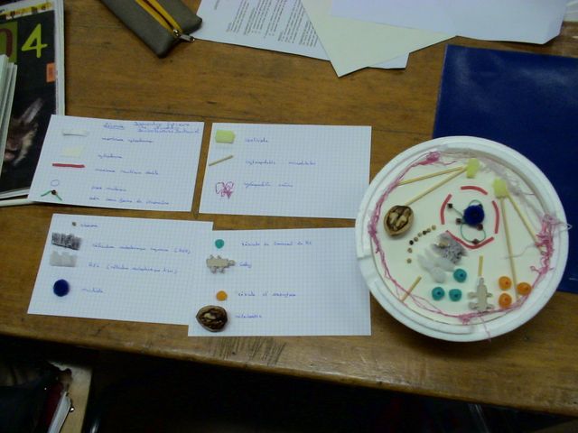 DSC09697.JPG