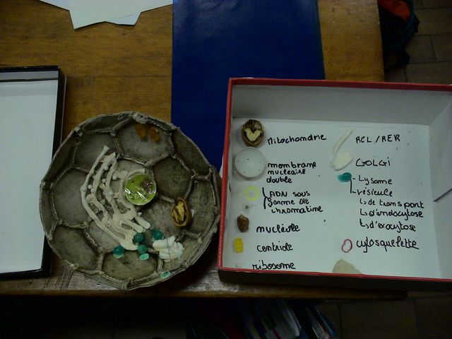 DSC09715.JPG