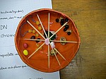 DSC09717.JPG