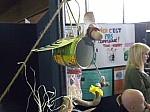 DSCN3143.JPG
