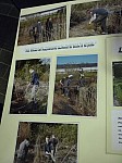 DSCN3145.JPG