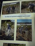 DSCN3146.JPG