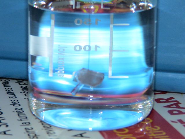 DSC06183.JPG