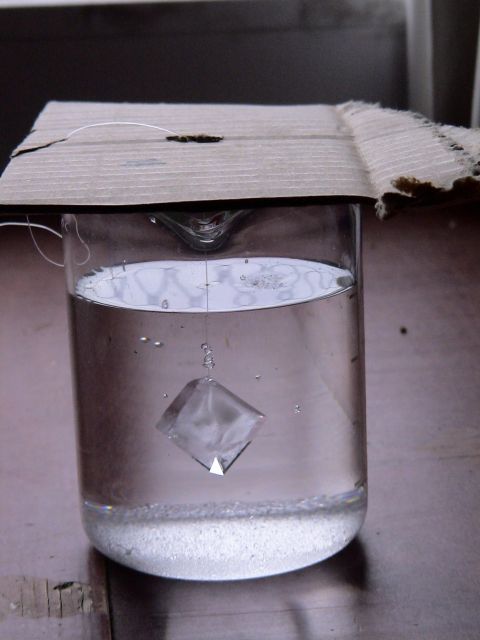 DSC06280.JPG