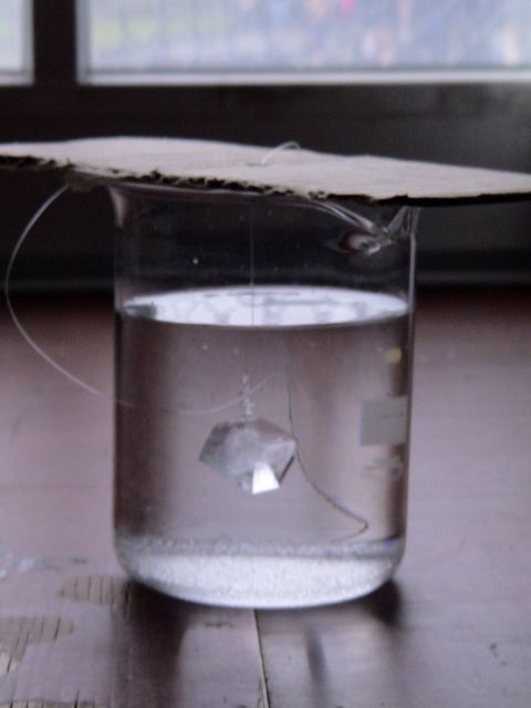 DSC06282.JPG