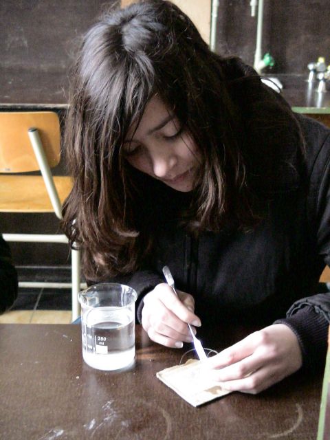 DSC06283.JPG