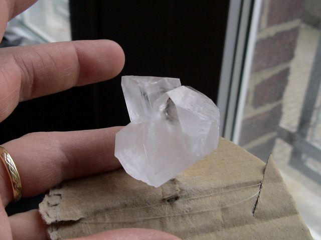 DSC06391.JPG