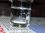 DSC06186.JPG