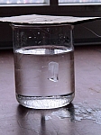DSC06277.JPG