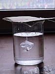 DSC06279.JPG