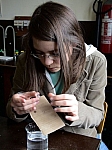 DSC06286.JPG