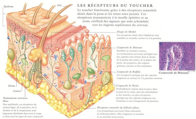 at00toucher.JPG