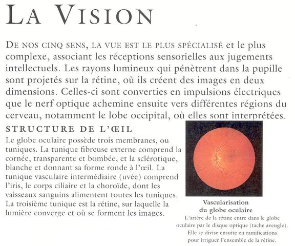 at09vison.JPG
