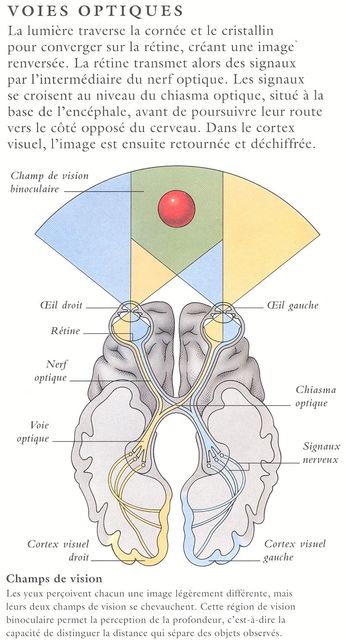 at13voieoptique.JPG