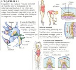 at08equilibre.JPG