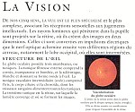 at09vison.JPG