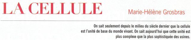q00.JPG