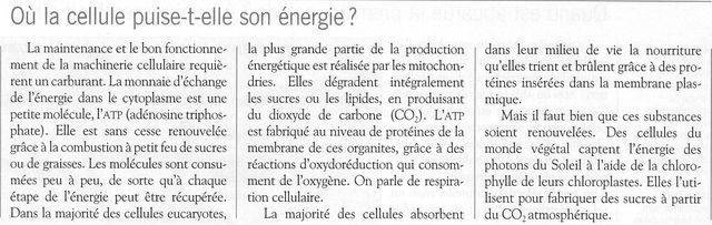 q06.JPG
