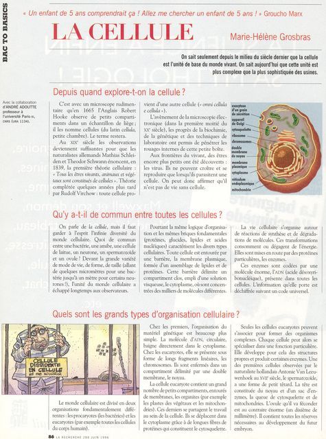 r1.JPG