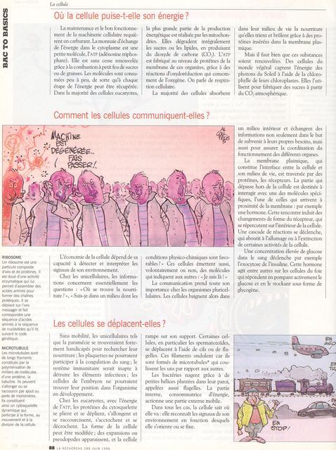 r3.JPG