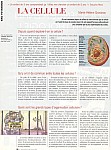 r1.JPG