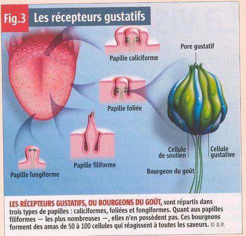 g12.JPG