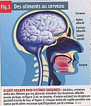 g03.JPG