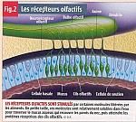 g05.JPG