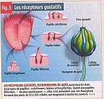 g12.JPG