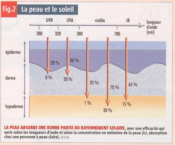 p11.JPG